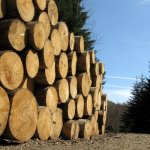 News from Timber Trade Journal (TTJ)
